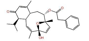 Valdivone B